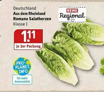 REWE Kaufpark Romana Salatherzen Angebot