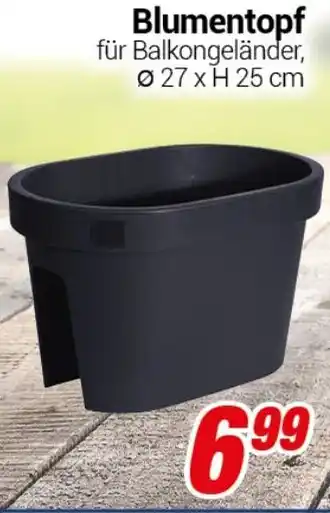 CENTERSHOP Blumentopf Angebot