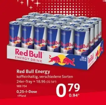 Selgros Red Bull Energy koffeinhaltig, 250ml Angebot