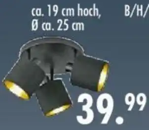 Möbel Boss Leuchtenserie Tommy Angebot