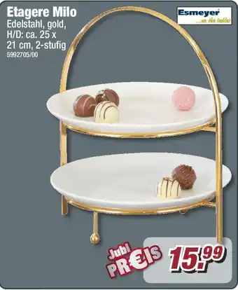 Poco Esmeyer Etagere Milo Angebot