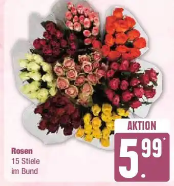 Edeka Rosen 15 Stiele im Bund Angebot