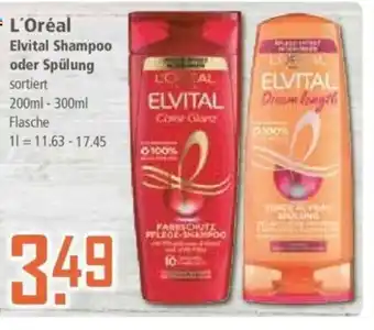 Klaas und Kock L'Oréal Elvital Shampoo oder Spülung 200-300ml Angebot