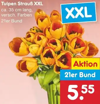 Netto Marken-Discount Tulpen Strauß XXL Angebot