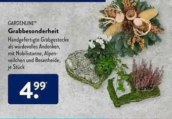 Aldi Süd Gardenline Grabbesonderheit Angebot