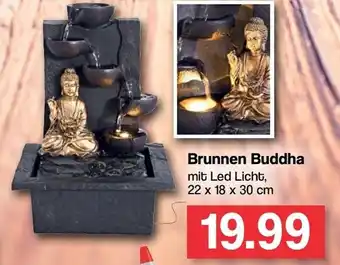 Famila Nord West Brunnen Buddha Angebot