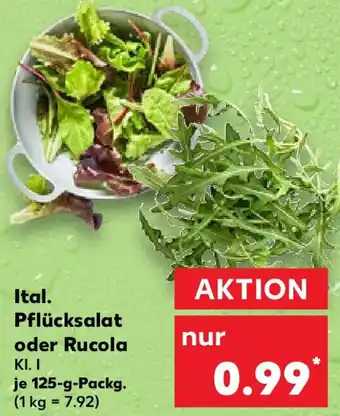 Kaufland Ital. Pflücksalat oder Rucola 125 g Packg. Angebot