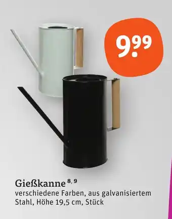 tegut Gießkanne verschiedene Farben, aus galvanisiertem Stahl, Höhe 19,5 cm, Stück Angebot