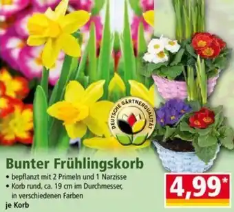 Norma Bunter Frühlingskorb Angebot