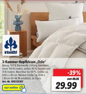 Lidl 3 Kammer Kopfkissen Oslo Angebot