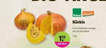 Denns BioMarkt Bioland Demeter Kürbis Angebot