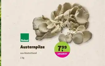 Denns BioMarkt Austernpilze Bioland Angebot