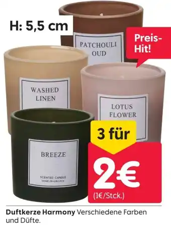 Rusta Duftkerze Harmony Angebot