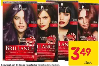 Rusta Schwarzkopf Brillance Haarfarbe Angebot