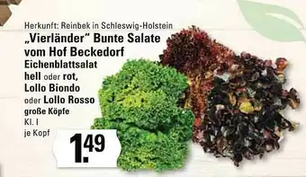 Edeka Vierländer Bunte Salate Vom Hof Beckedorf Eichenblattssalat Hell Oder Rot, Lollo Rosso Große Köpfe Angebot