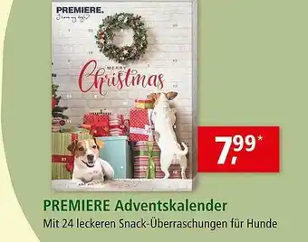 Fressnapf Premiere Adventskalender Angebot