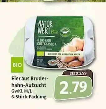 Markant Eier Aus Bruderhahn-aufzucht Angebot