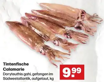 Handelshof Tintenfische Calamarie Angebot