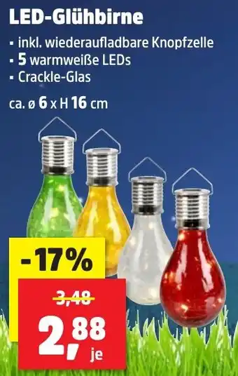 Thomas Philipps LED-Glühbirne Angebot