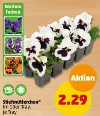 PENNY Stiefmütterchen Angebot