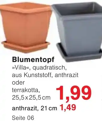 Wiglo Wunderland Blumentopf Angebot