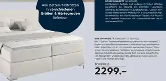 Möbel Buss BOXSPRINGBETT Angebot