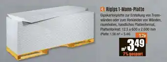 V Baumarkt Rigips 1-Mann-Platte Gipskartonplatte Angebot