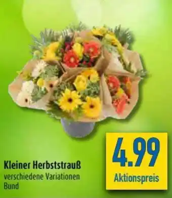 diska Kleiner Herbststrauß Angebot