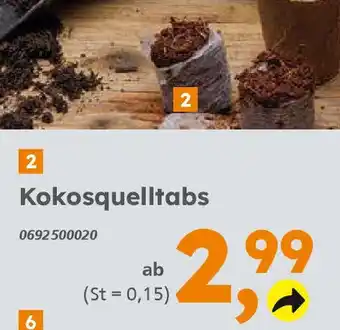 Globus Baumarkt Kokosquelltabs Angebot