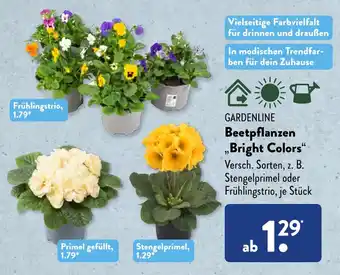 Aldi Süd GARDENLINE Beetpflanzen ,,Bright Colors" Angebot