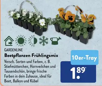 Aldi Süd GARDENLINE Beetpflanzen Frühlingsmix 10er-Tray Angebot