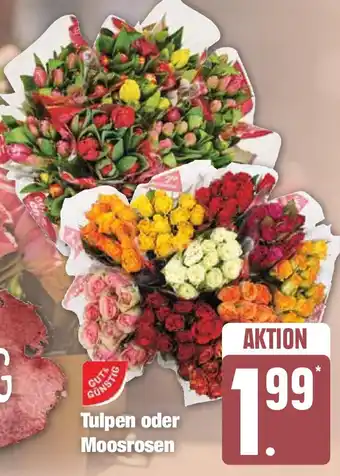 Edeka Tulpen oder Moosrosen Angebot