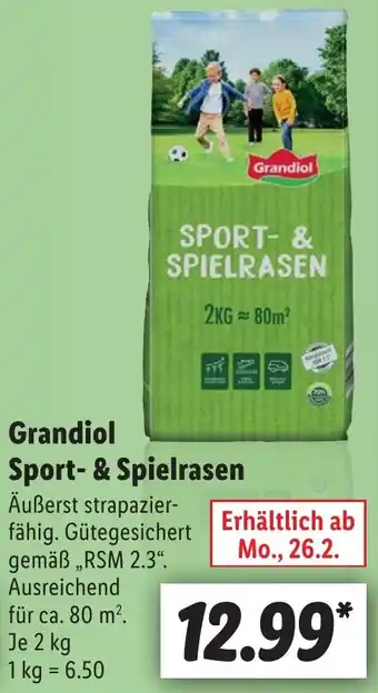 Lidl Grandiol Sport & Spielrasen 2 kg Angebot