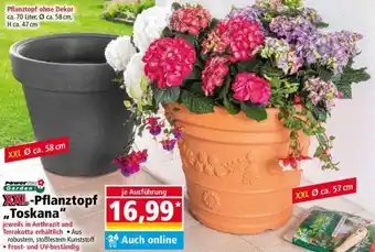 Norma Powertec Garden XXL-Pflanztopf ,,Toskana" Angebot