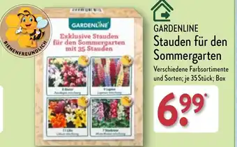 Aldi Nord GARDENLINE Stauden für den Sommergarten Angebot