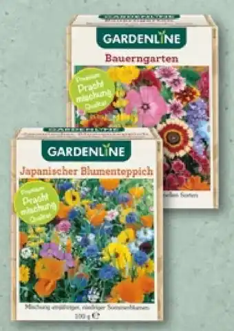 Aldi Nord Blumen-Saatgut Angebot