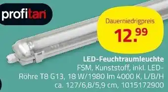 ROLLER profitan LED-Feuchtraumleuchte Angebot