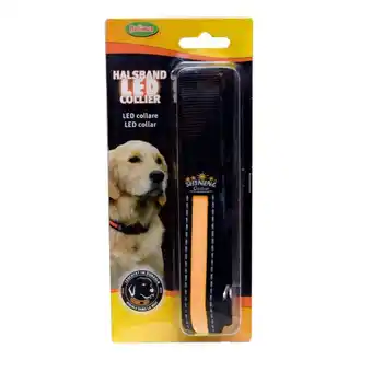 Sonderpreis Baumarkt LED Halsband verstellbar 36-51cm Hundehalsband Angebot