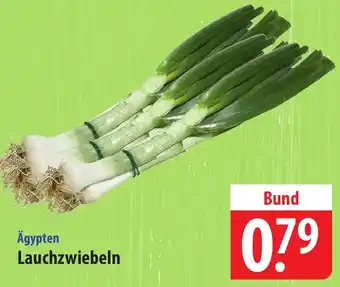Famila Nord Ost Ägypten Lauchzwiebeln Angebot