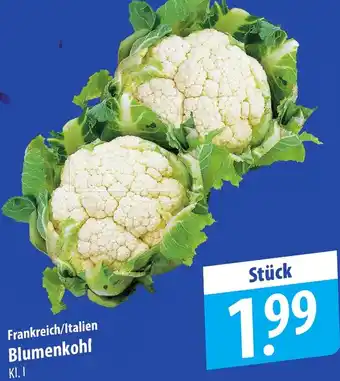 Famila Nord Ost Blumenkohl Angebot