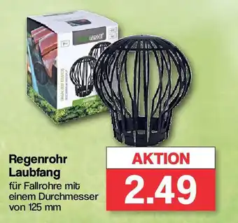 Famila Nord West Regenrohr Laubfang Angebot