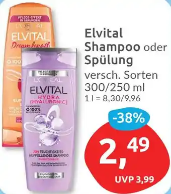 Budni Elvital Shampoo oder Spülung 300/250 ml Angebot