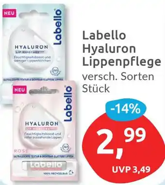 Budni Labello Hyaluron Lippenpflege Angebot