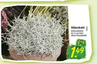 Floraland Silberdraht Angebot