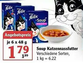 Globus Soup Katzennassfutter Angebot