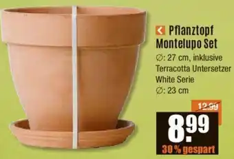 V Baumarkt Pflanztopf Montelupo Set Angebot