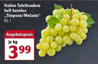 Globus Italien Tafeltrauben Hell Kernlos „timpson Oder Melanie” Angebot