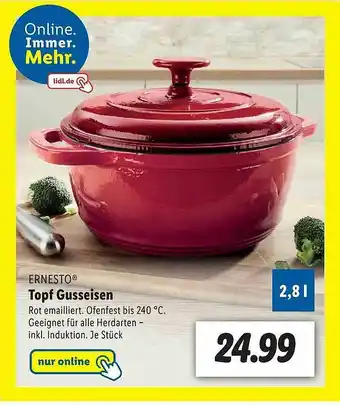 Lidl Ernesto Topf Guiseisen Angebot