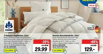 Lidl Irisette 3-kammer-kopfkissen „oslo” Oder Daunen-kassettendecke „oslo” Angebot