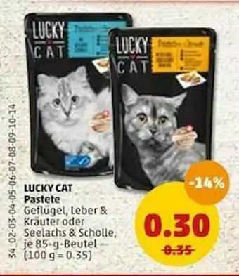 PENNY Lucky Cat Pastete Angebot